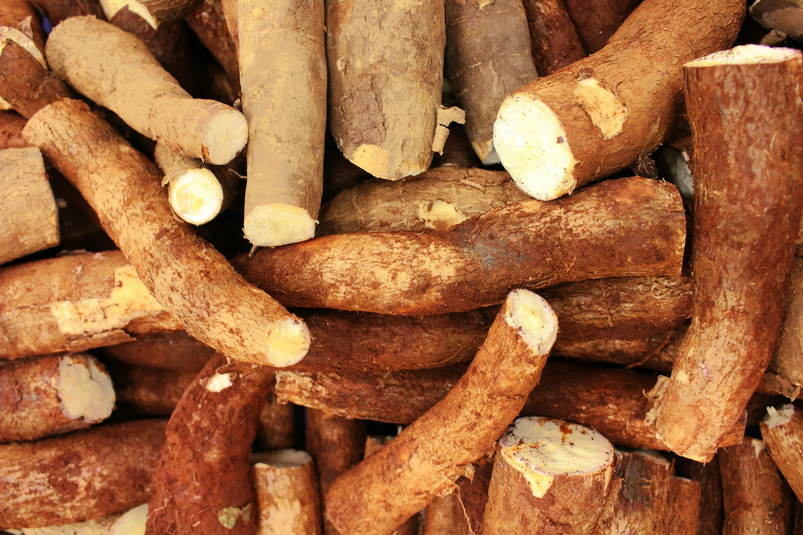 Kunpol Agriculture